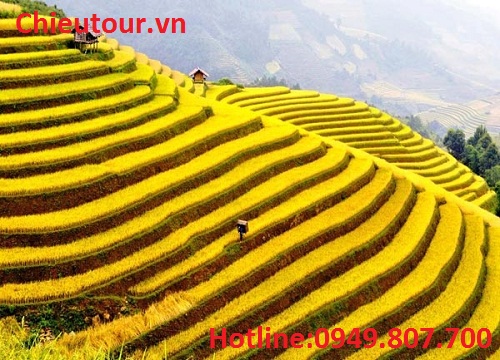 Ruộng Bậc Thang Ruộng Bậc Thang