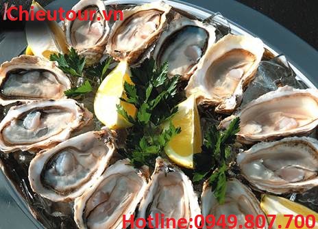 TOUR DU LỊCH NINH BÌNH-ĐÀ LẠT-NHA TRANG