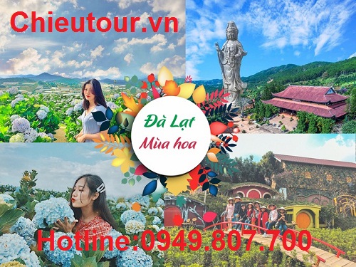 cảnh đẹp đà lạt cảnh đẹp đà lạt