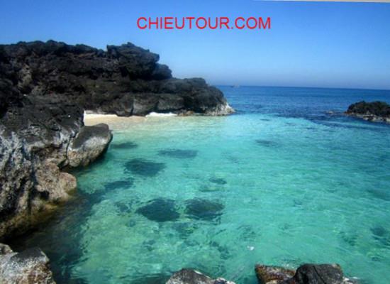 TOUR NHA TRANG TOUR NHA TRANG