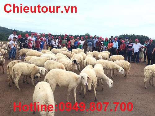 Đồng Cừu Đồng Cừu