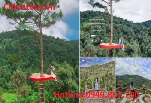 Hoa Sơn Điền Trang Hoa Sơn Điền Trang