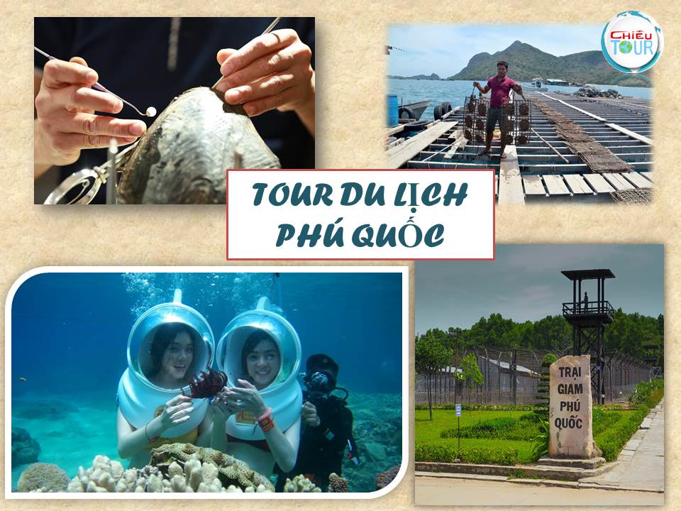 TOUR NAM ĐỊNH - TP HỒ CHÍ MINH - CẦN THƠ -  RẠCH GIÁ - CÀ MAU - PHÚ QUỐC - HẢI PHÒNG- QUẢNG NINH