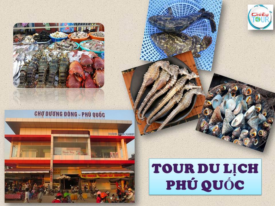 CHƯƠNG TRÌNH DU LỊCH MIỀN TÂY  TOUR QUẢNG NINH - TP HỒ CHÍ MINH - CẦN THƠ -  RẠCH GIÁ - CÀ MAU - PHÚ QUỐC - HẢI PHÒNG- QUẢNG NINH