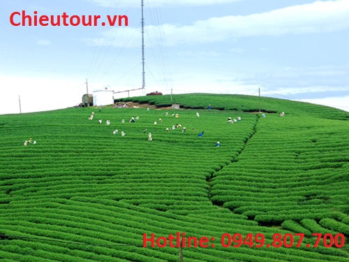 NHA TRANG - BÃI DÀI - KDL TẮM BÙN KHOÁNG TRĂM TRỨNG - VINPEARLAND