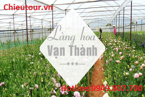 Làng Hoa vạn Thành Làng Hoa vạn Thành