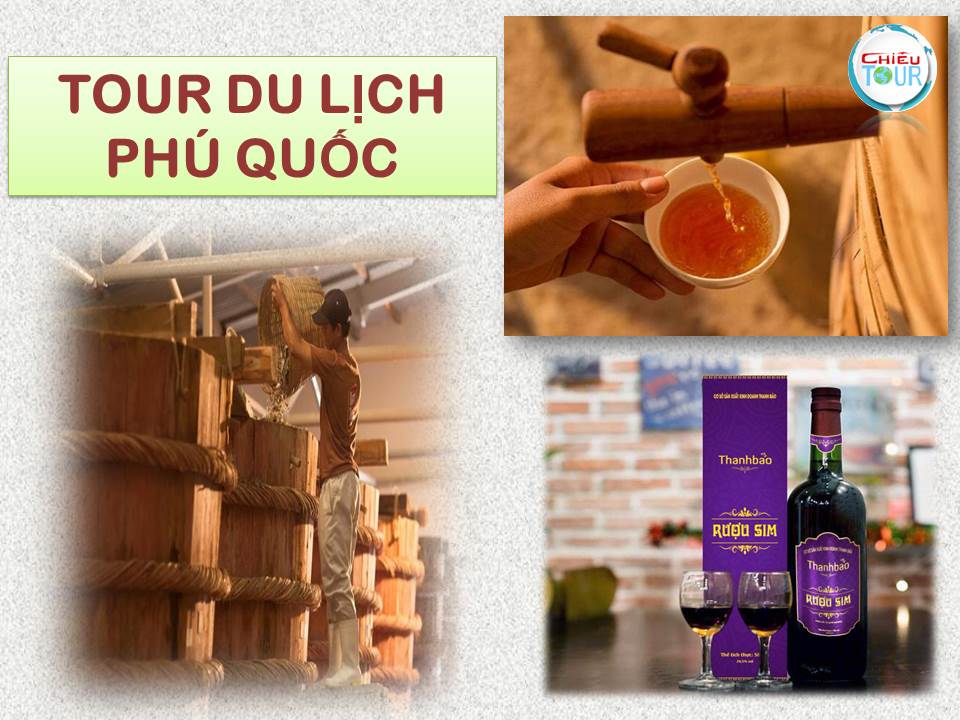 TOUR NAM ĐỊNH - TP HỒ CHÍ MINH - CẦN THƠ -  RẠCH GIÁ - CÀ MAU - PHÚ QUỐC - HẢI PHÒNG- QUẢNG NINH