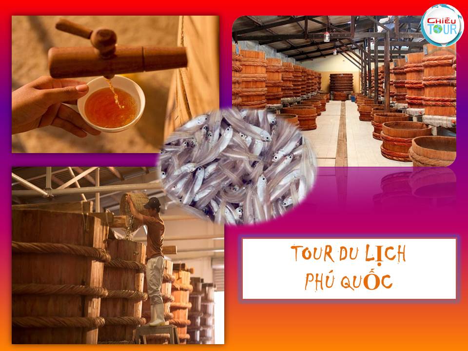 CHƯƠNG TRÌNH DU LỊCH MIỀN TÂY  TOUR QUẢNG NINH - TP HỒ CHÍ MINH - CẦN THƠ -  RẠCH GIÁ - CÀ MAU - PHÚ QUỐC - HẢI PHÒNG- QUẢNG NINH
