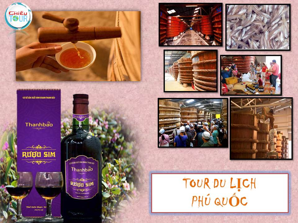 TOUR DU LỊCH HÀ NỘI - MIỀN TÂY - PHÚ QUỐC