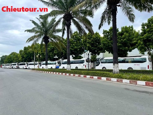 Rất Nhiều Xe Cho Khách Lựa Chọn