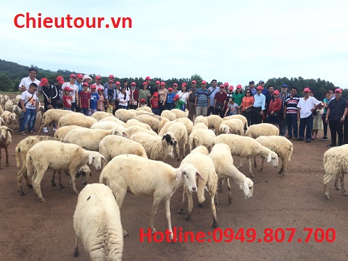 Đồng Cừu Đồng Cừu