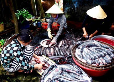 Chợ cá Bạc Liêu Chợ cá Bạc Liêu