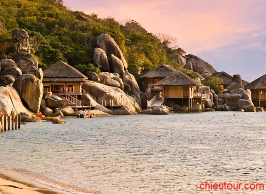 Vịnh Ninh Vân Vịnh Ninh Vân