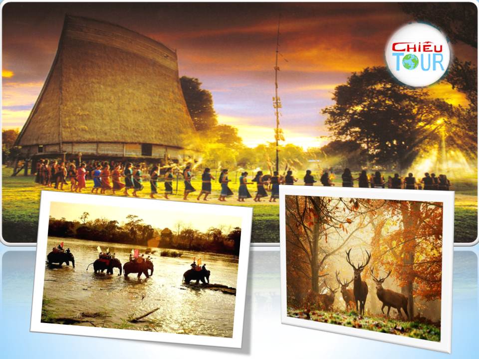 Tour TP Hồ Chí MInh khởi hành đi Đà Lạt Buôn Mê Thuật giá