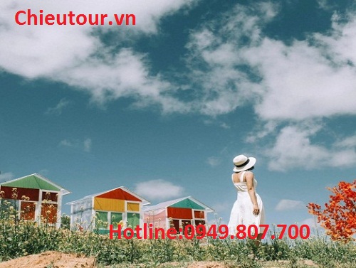 Sunny Farm Sunny Farm