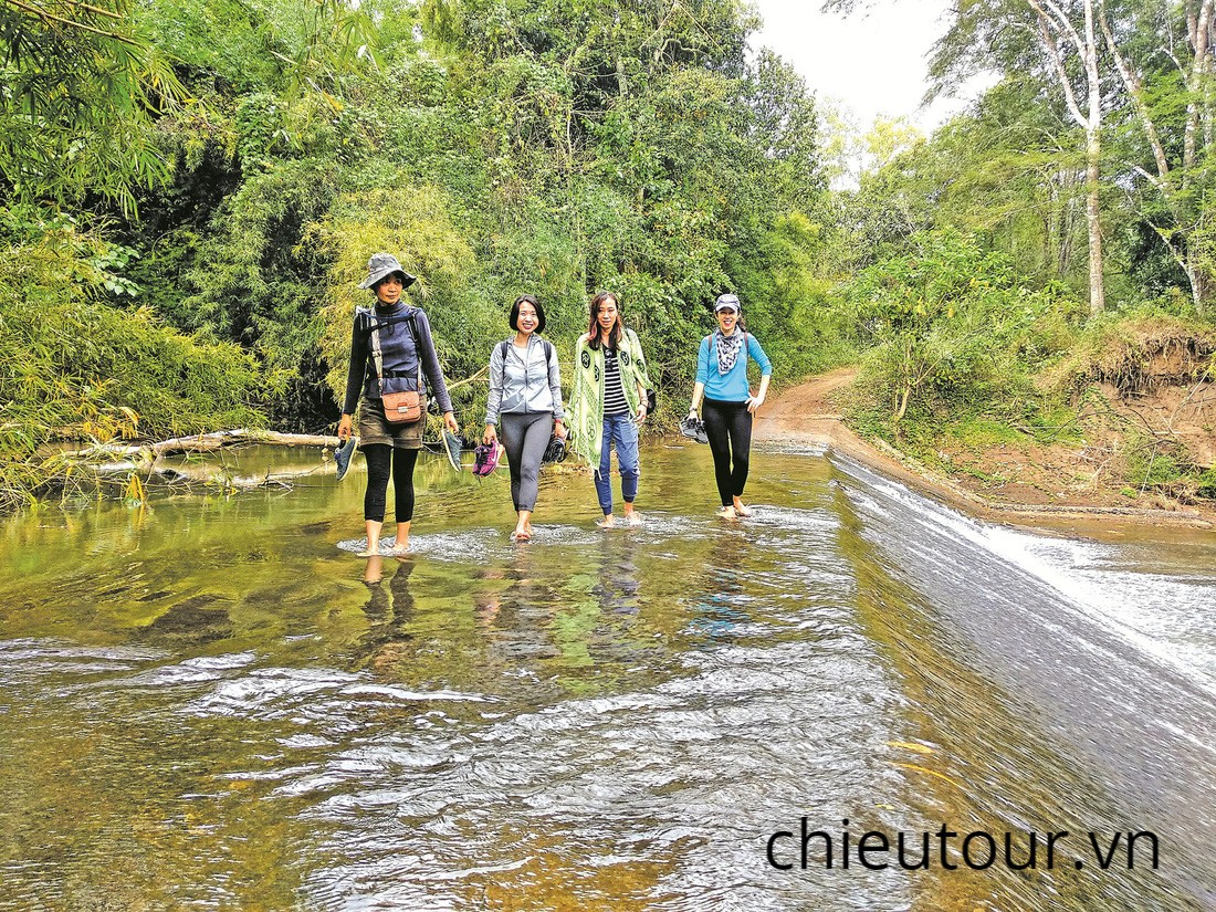 Dã ngoại rừng Yok Don