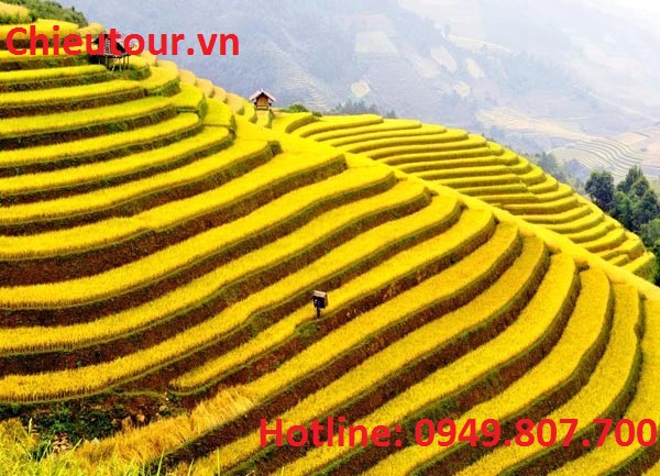 Ruộng bậc thang Ruộng bậc thang
