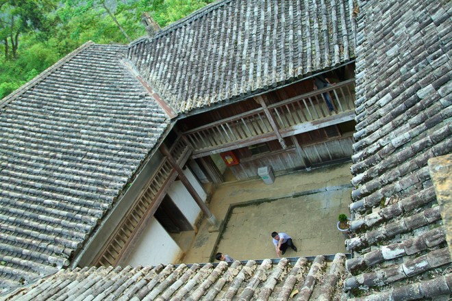 Nhà Vua Mèo Nhà Vua Mèo